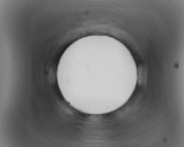 X0000100391491200807031937