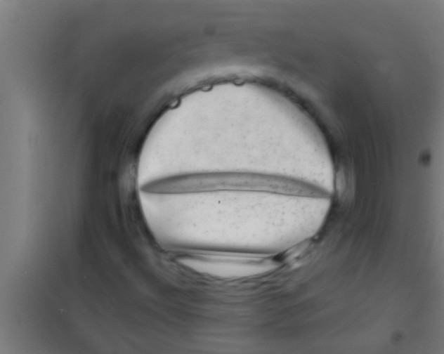 X0000100391492200807031937