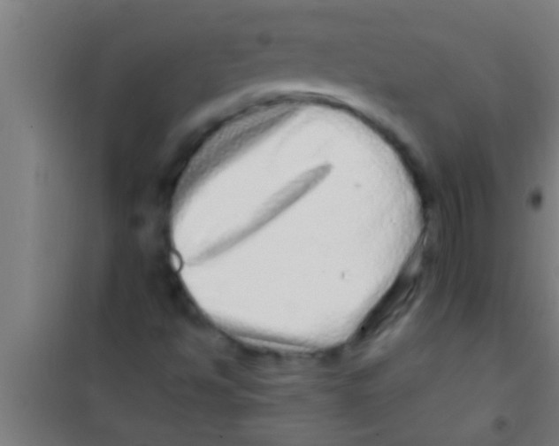 X0000100391494200807031937