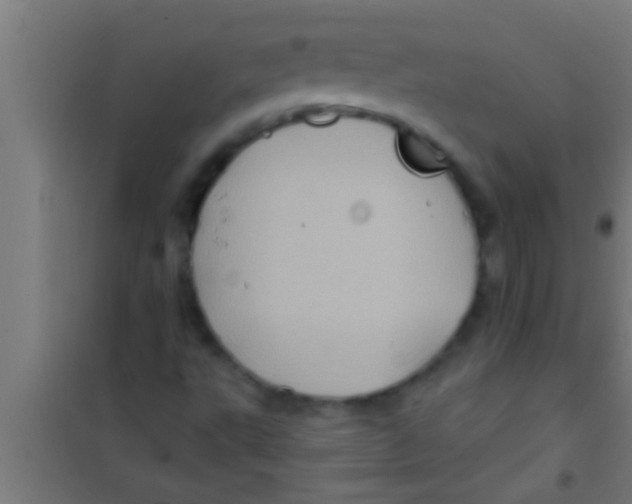 X0000100391495200807031937