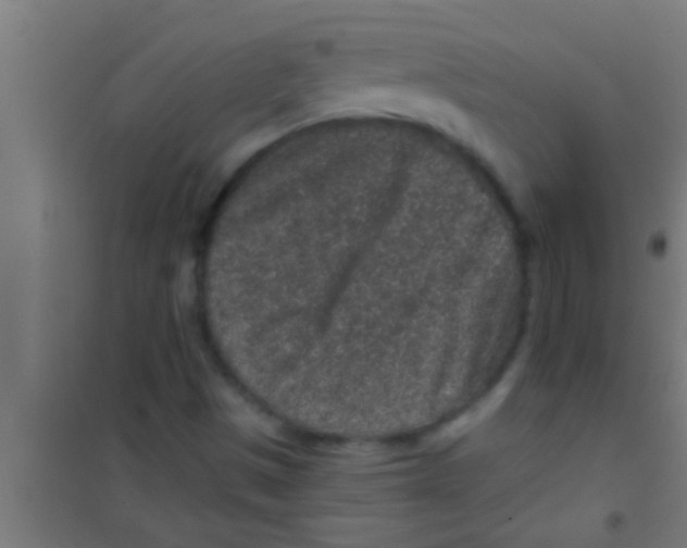 X0000100391497200807031937