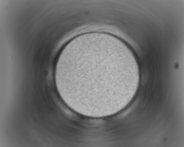 X0000100391498200807031937