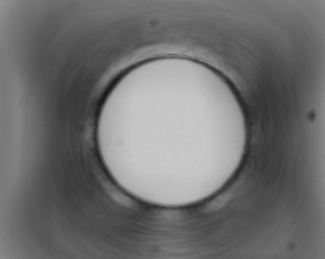 X0000100391499200807031937