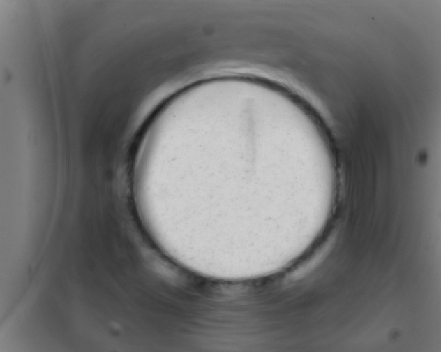 X0000100391501200807031937