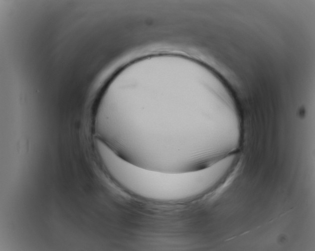 X0000100391502200807031937