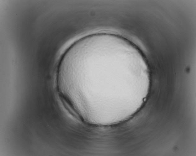 X0000100391504200807031937