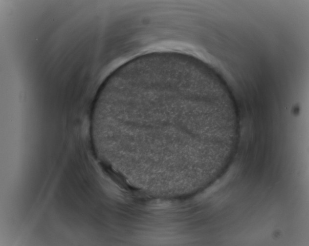 X0000100391505200807031937