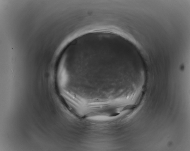 X0000100391506200807031937