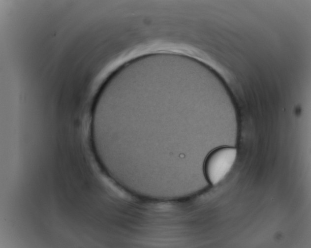 X0000100391507200807031937