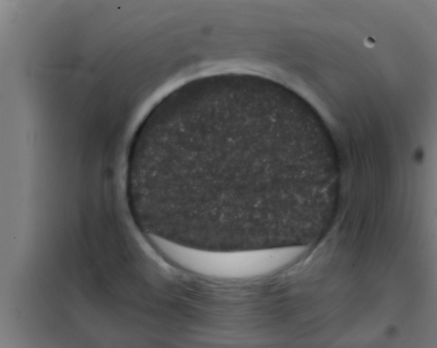 X0000100391508200807031937