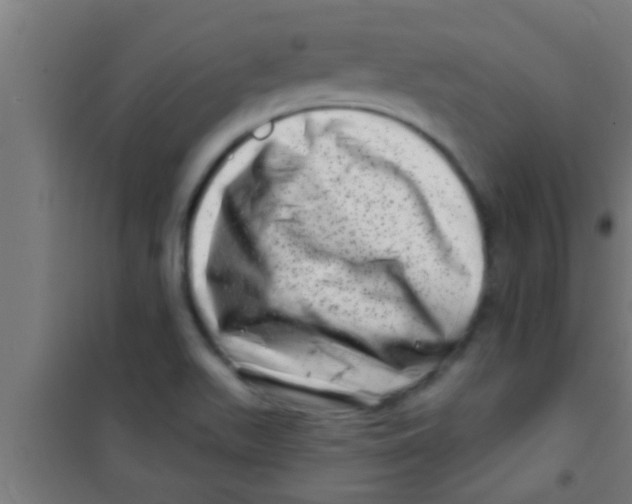 X0000100391511200807031937