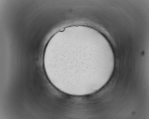 X0000100391512200807031937