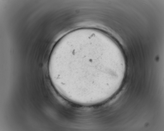 X0000100391513200807031937