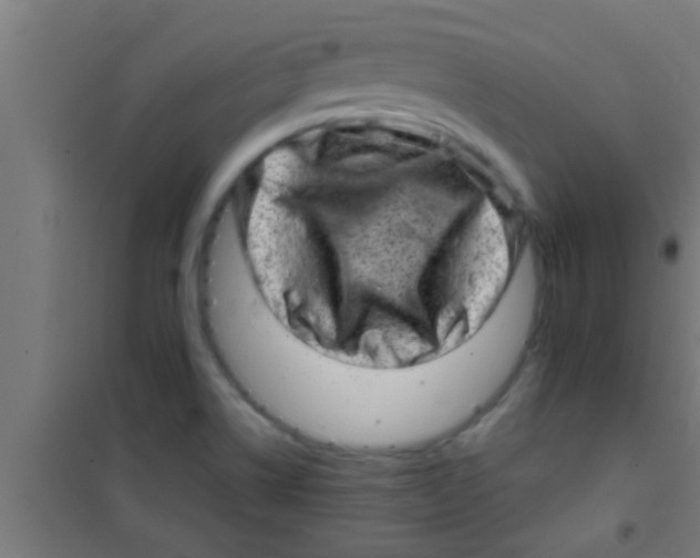 X0000100391514200807031937