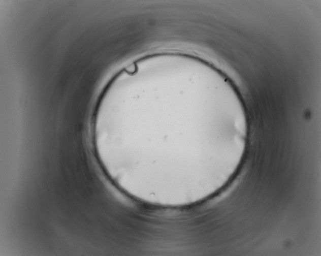 X0000100391517200807031937