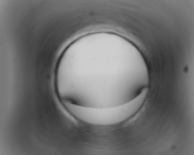 X0000100391518200807031937