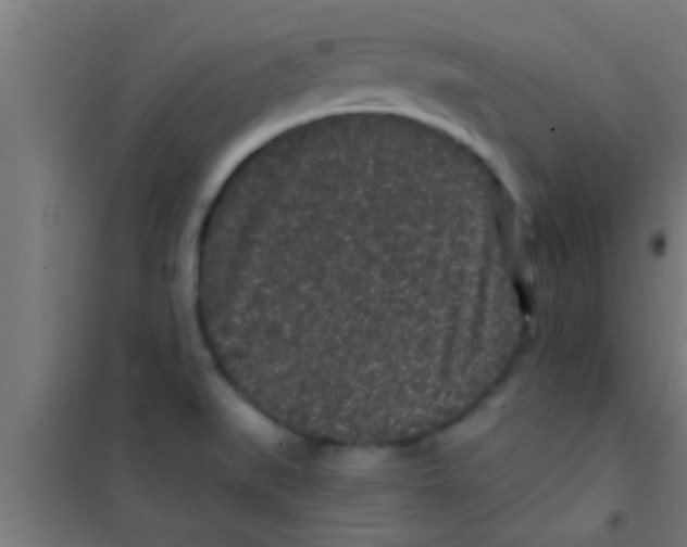 X0000100391519200807031937