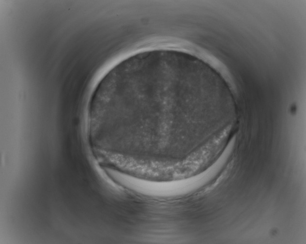 X0000100391520200807031937