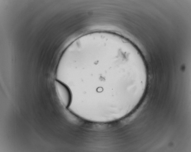 X0000100391521200807031937