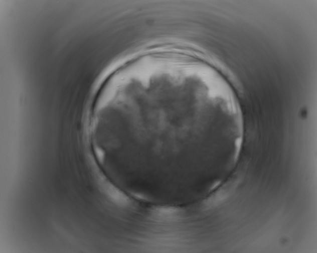 X0000100391522200807031937