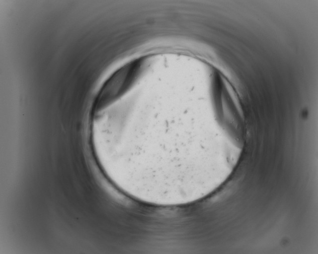 X0000100391523200807031937