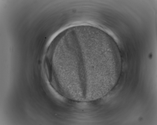 X0000100391524200807031937