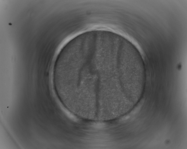 X0000100391525200807031937