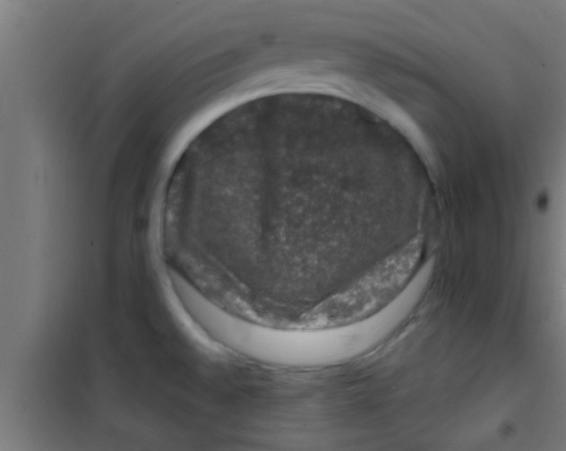 X0000100391528200807031937