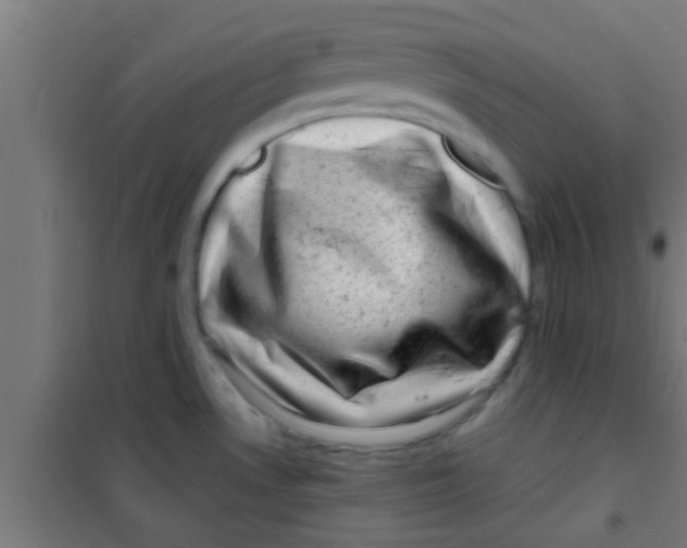 X0000100391530200807031937