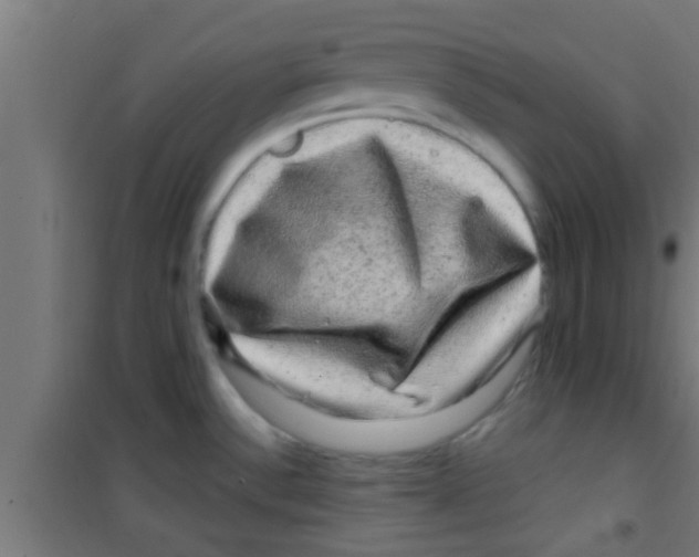 X0000100391532200807031937