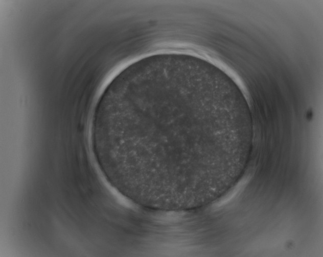 X0000100391533200807031937