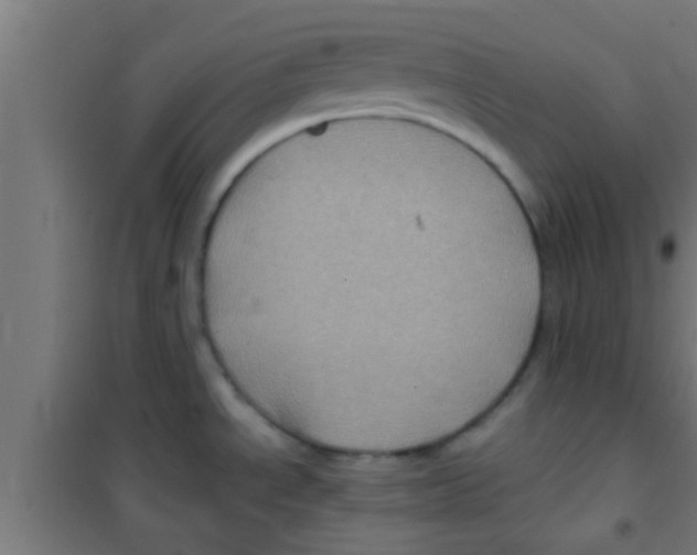 X0000100391534200807031937