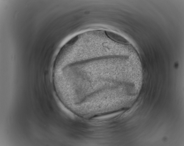 X0000100391535200807031937