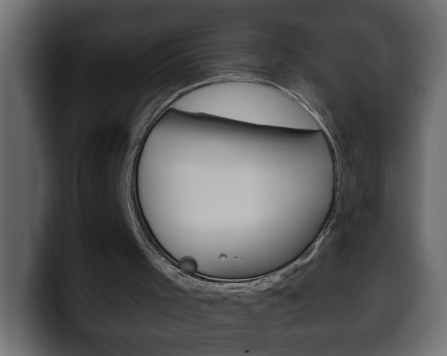 X0000100400001200806060904
