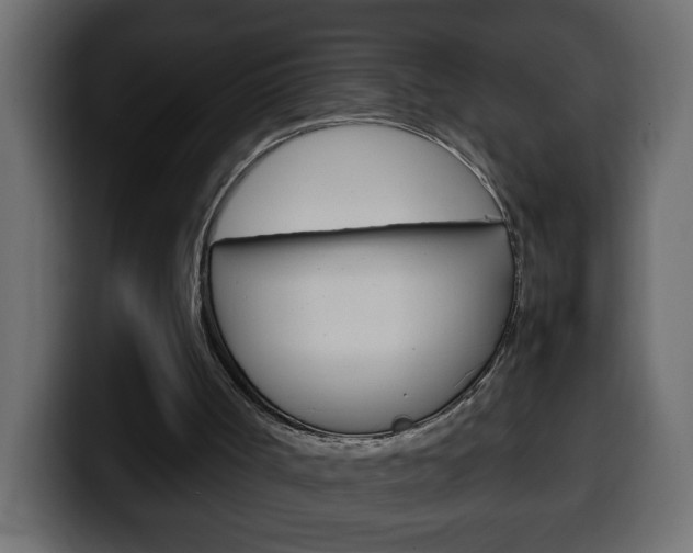 X0000100400002200806060904