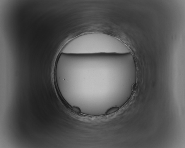 X0000100400003200806060904
