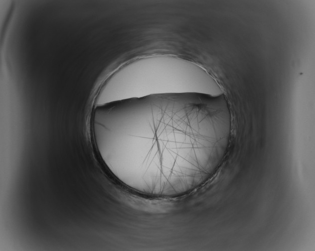 X0000100400004200806060904