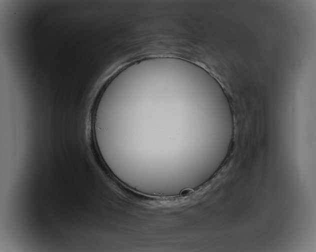 X0000100400005200806060904