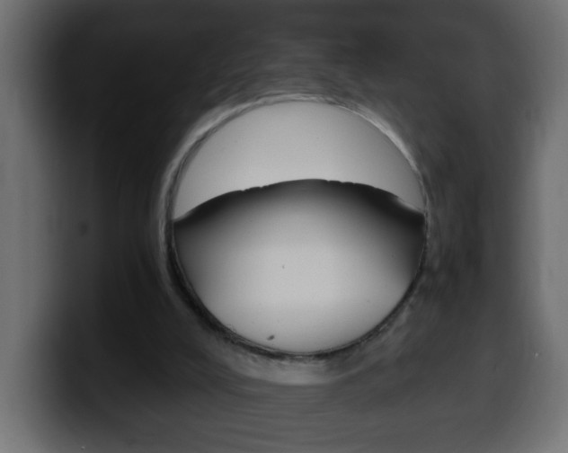 X0000100400008200806060904