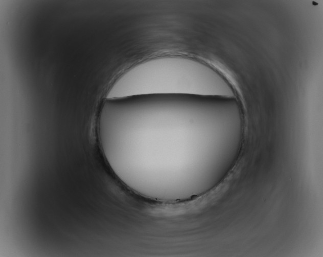 X0000100400009200806060904