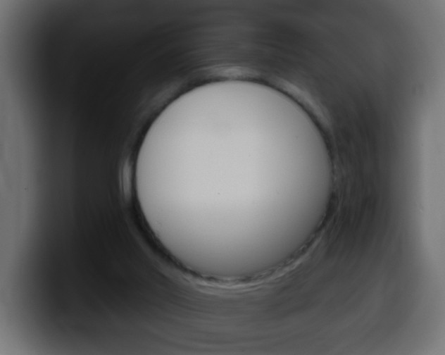 X0000100400014200806060904