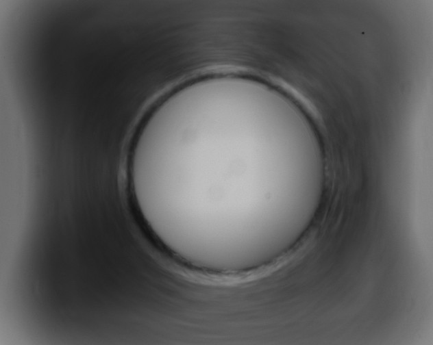X0000100400015200806060904