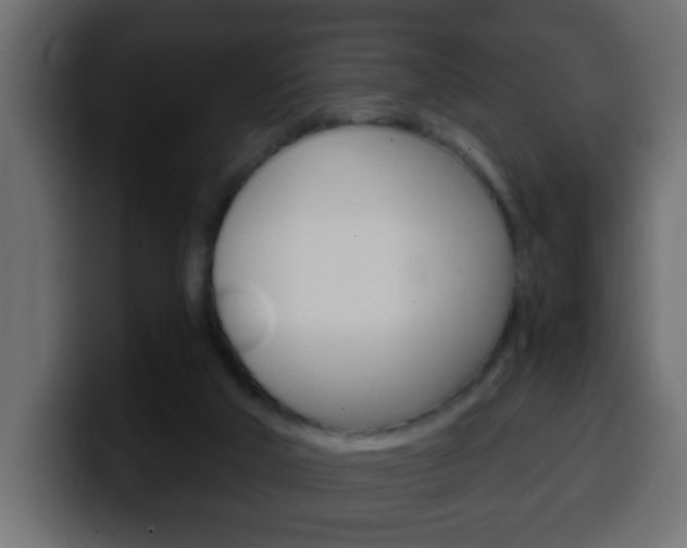 X0000100400018200806060904