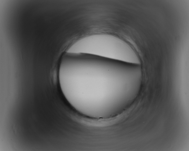 X0000100400019200806060903