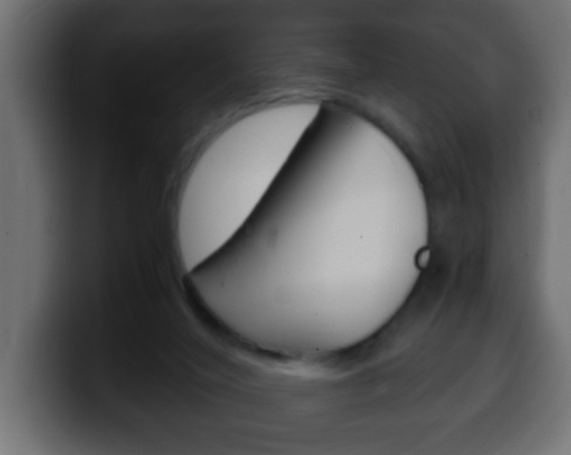 X0000100400020200806060903
