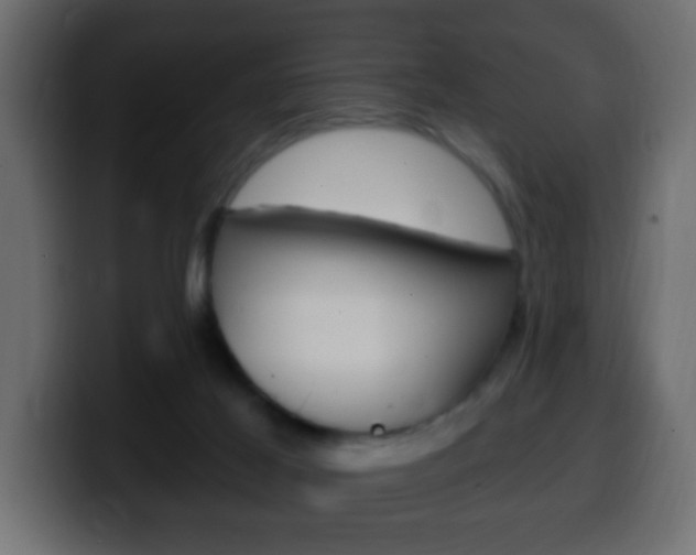 X0000100400021200806060903