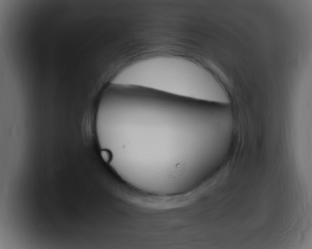 X0000100400023200806060903
