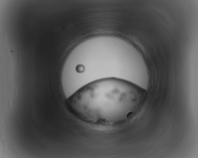 X0000100400024200806060903