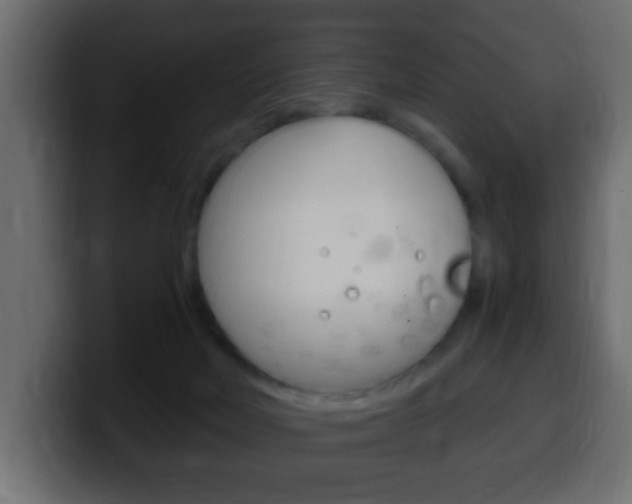 X0000100400026200806060903