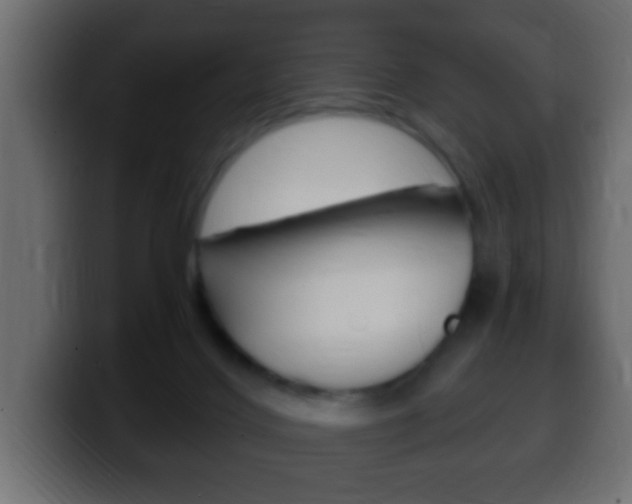 X0000100400028200806060903
